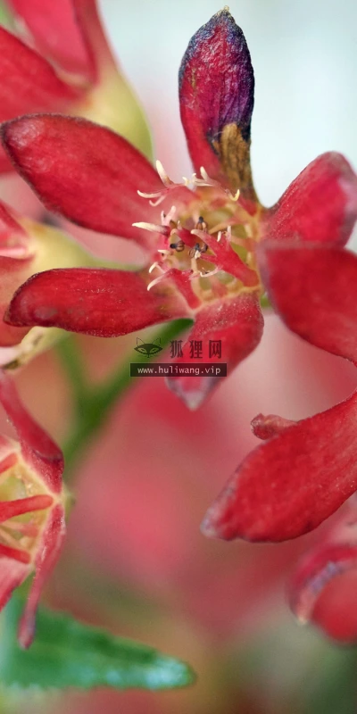 【23101】风景壁纸  2K 高清壁纸2880_1800@青蛙壁纸-笨猫小站