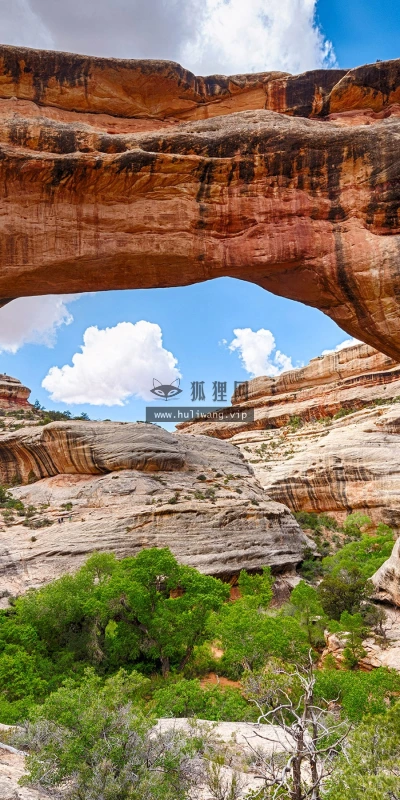 【23103】风景壁纸  2K 高清壁纸2880_1800@青蛙壁纸-笨猫小站