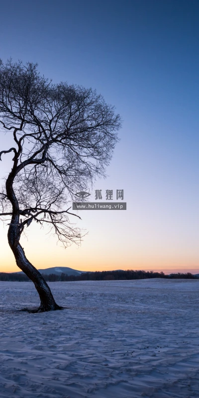 【23197】壁纸 4K 超清壁纸5120_3200@青蛙壁纸-笨猫小站