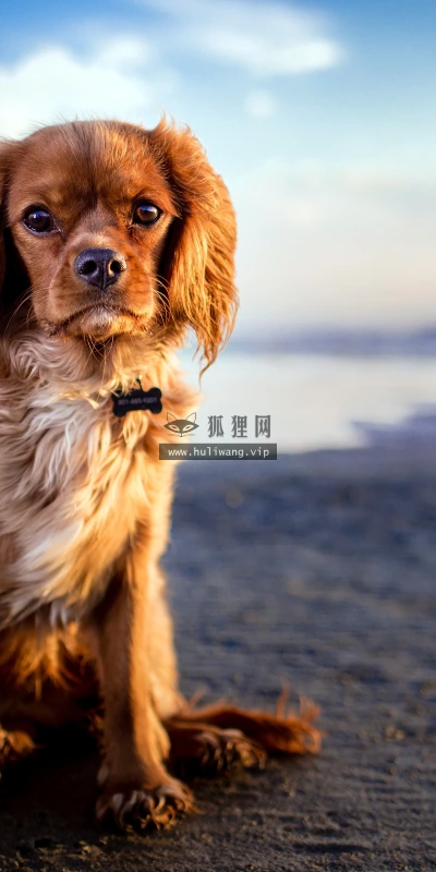 【23225】风景壁纸  4K 超清壁纸3840_2400@青蛙壁纸-笨猫小站
