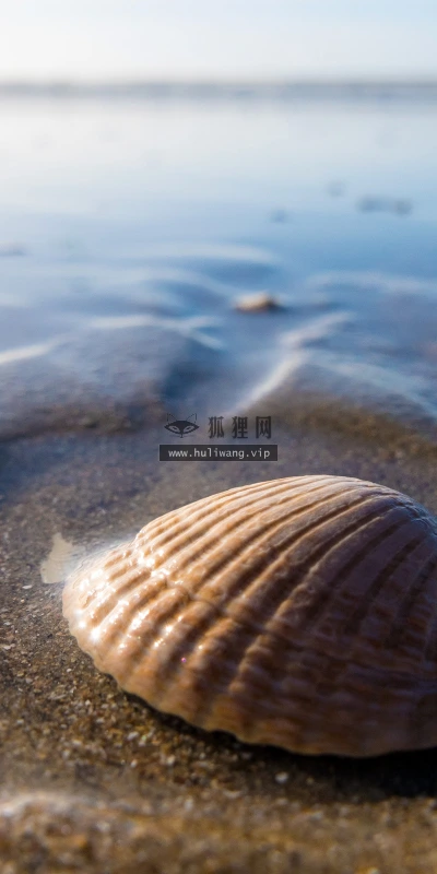 【23229】风景壁纸  4K 超清壁纸3840_2400@青蛙壁纸-笨猫小站