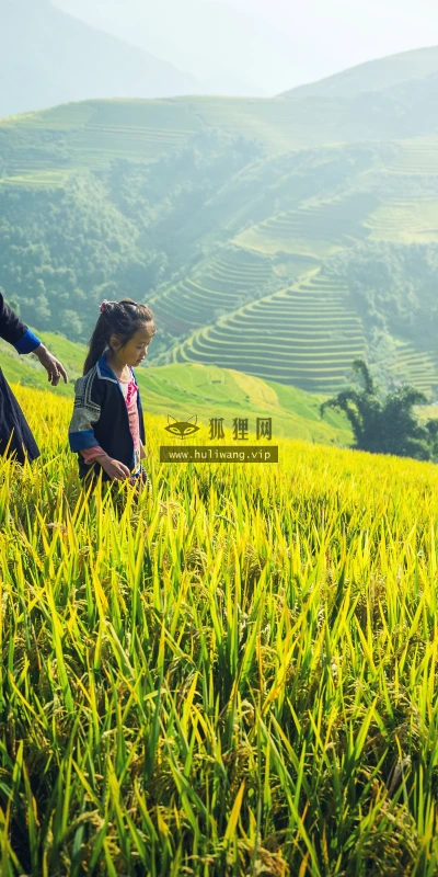 【23263】风景壁纸  4K 超清壁纸3840_2400@青蛙壁纸-笨猫小站