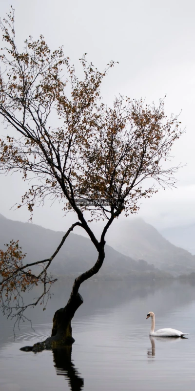 【23368】风景壁纸  4K 超清壁纸3840_2400@青蛙壁纸-笨猫小站