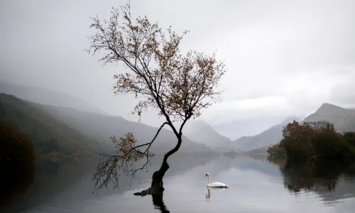 【23368】风景壁纸  4K 超清壁纸3840_2400@青蛙壁纸-笨猫小站