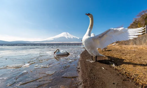 【23386】风景壁纸  4K 超清壁纸3840_2400@青蛙壁纸-笨猫小站