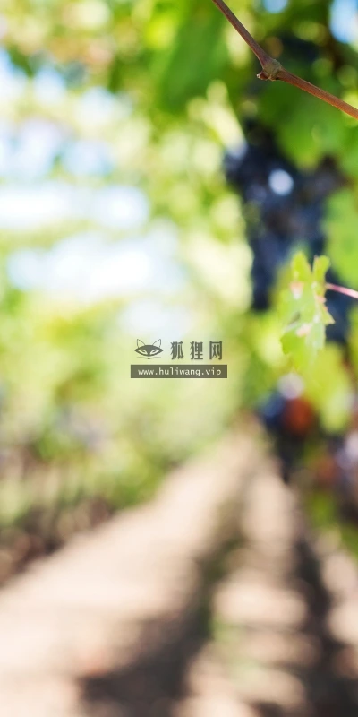 【23455】风景壁纸  4K 超清壁纸3840_2400@青蛙壁纸-笨猫小站