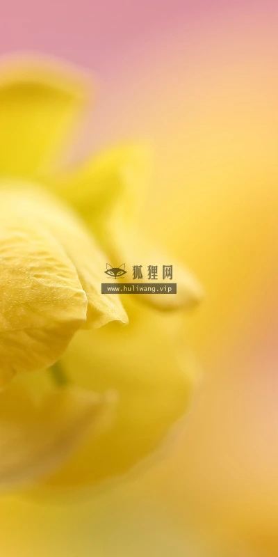 【23520】创意壁纸  4K 超清壁纸3840_2400@青蛙壁纸-笨猫小站