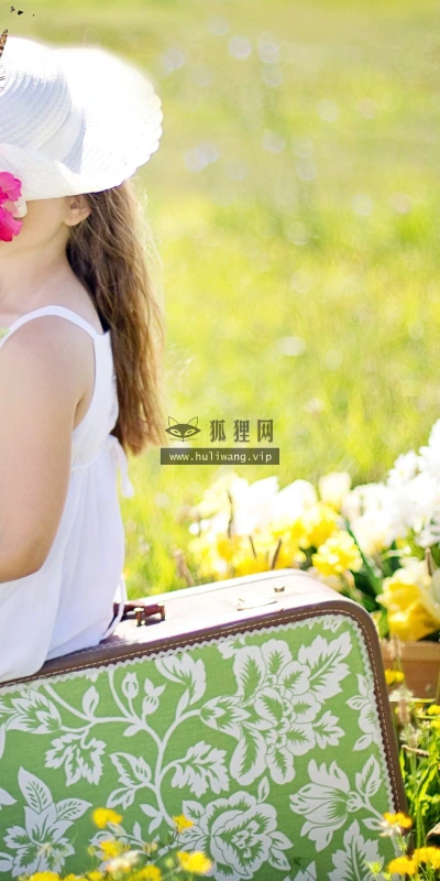【23536】创意壁纸  4K 超清壁纸3840_2400@青蛙壁纸-笨猫小站