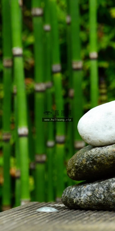 【23575】植物壁纸  4K 超清壁纸3840_2400@青蛙壁纸-笨猫小站