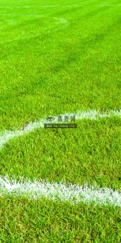 【23594】植物壁纸  4K 超清壁纸3840_2400@青蛙壁纸-笨猫小站