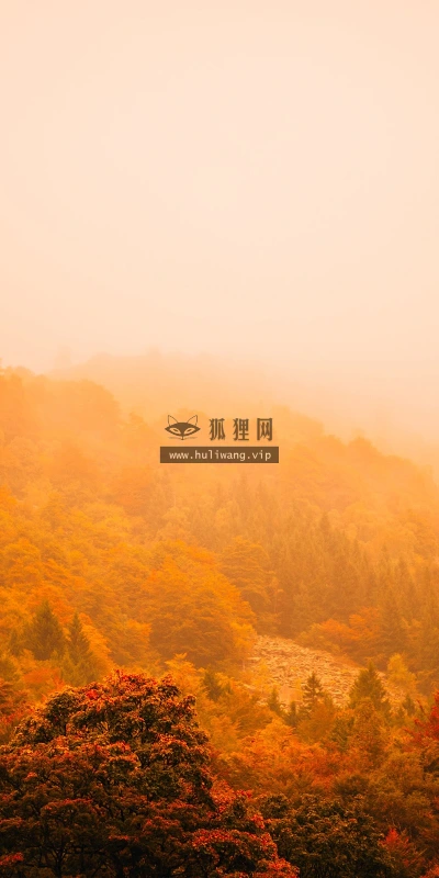 【23737】风景壁纸  2K 高清壁纸2560_1600@青蛙壁纸-笨猫小站