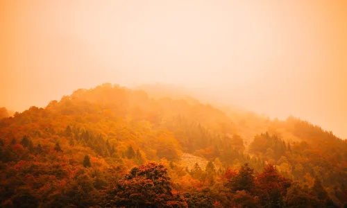 【23737】风景壁纸  2K 高清壁纸2560_1600@青蛙壁纸-笨猫小站