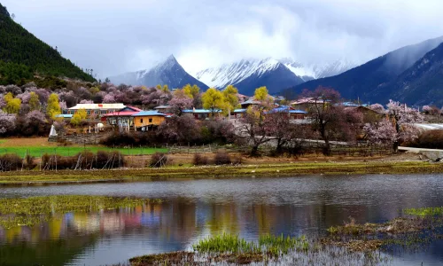【23761】风景壁纸  2K 高清壁纸2560_1600@青蛙壁纸-笨猫小站