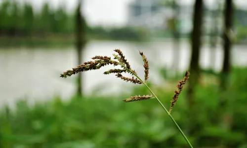 【23792】风景壁纸  2K 高清壁纸2560_1600@青蛙壁纸-笨猫小站