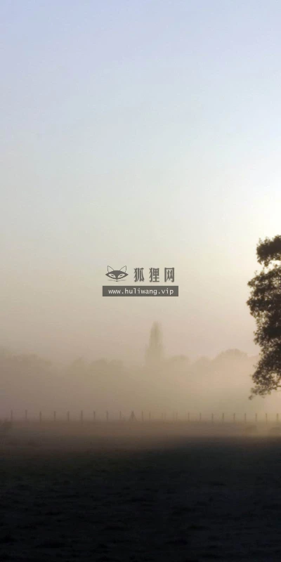 【23876】风景壁纸  2K 高清壁纸2560_1600@青蛙壁纸-笨猫小站