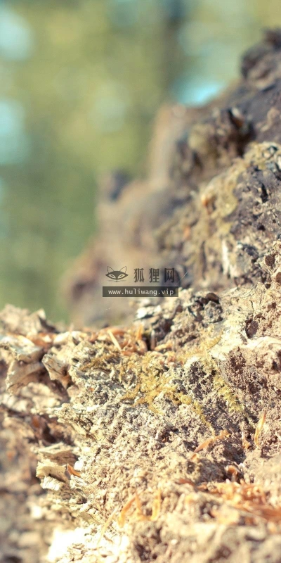 【23883】风景壁纸  2K 高清壁纸2560_1600@青蛙壁纸-笨猫小站