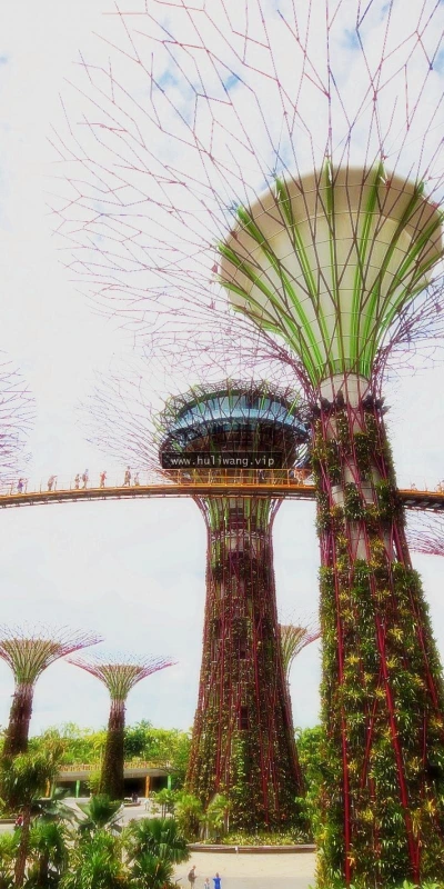 【23892】风景壁纸  2K 高清壁纸2560_1600@青蛙壁纸-笨猫小站
