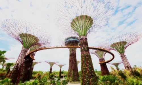 【23892】风景壁纸  2K 高清壁纸2560_1600@青蛙壁纸-笨猫小站