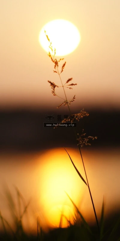 【23898】风景壁纸  2K 高清壁纸2560_1600@青蛙壁纸-笨猫小站