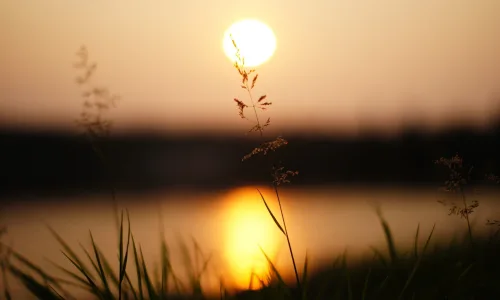【23898】风景壁纸  2K 高清壁纸2560_1600@青蛙壁纸-笨猫小站