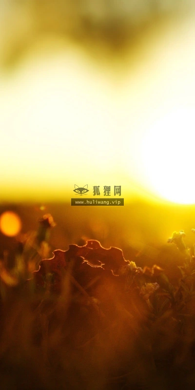 【23899】风景壁纸  2K 高清壁纸2560_1600@青蛙壁纸-笨猫小站