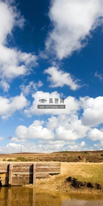 【23900】风景壁纸  2K 高清壁纸2560_1600@青蛙壁纸-笨猫小站
