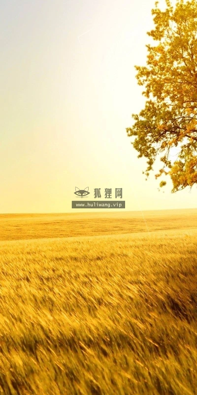 【23902】风景壁纸  2K 高清壁纸2560_1600@青蛙壁纸-笨猫小站