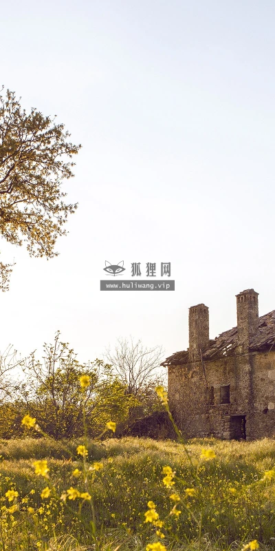 【23908】风景壁纸  2K 高清壁纸2560_1600@青蛙壁纸-笨猫小站
