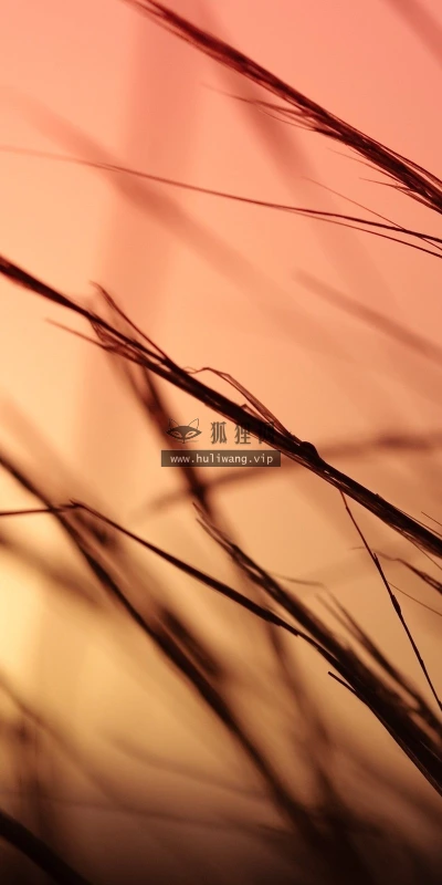 【23916】风景壁纸  2K 高清壁纸2560_1600@青蛙壁纸-笨猫小站