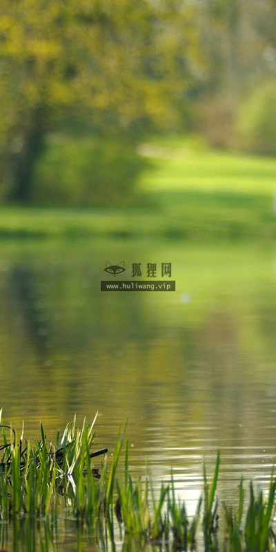 【23978】风景壁纸  2K 高清壁纸2560_1600@青蛙壁纸-笨猫小站