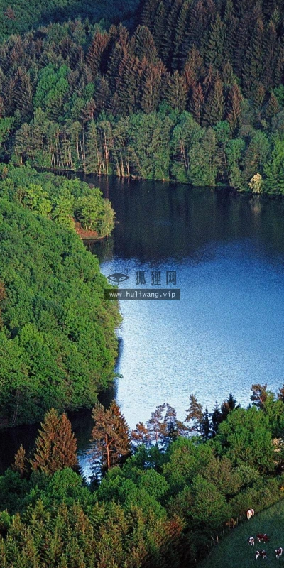 【23987】风景壁纸  2K 高清壁纸2560_1600@青蛙壁纸-笨猫小站