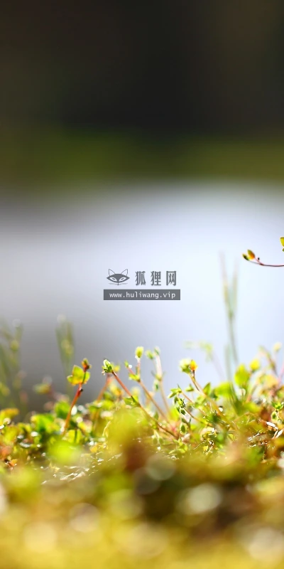 【24020】风景壁纸  2K 高清壁纸2560_1600@青蛙壁纸-笨猫小站