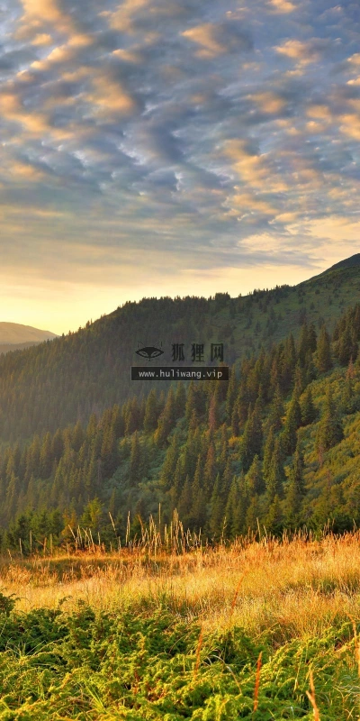 【24036】风景壁纸  2K 高清壁纸2560_1600@青蛙壁纸-笨猫小站