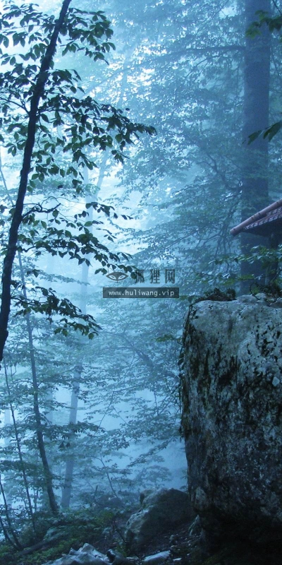 【24043】风景壁纸  2K 高清壁纸2560_1600@青蛙壁纸-笨猫小站
