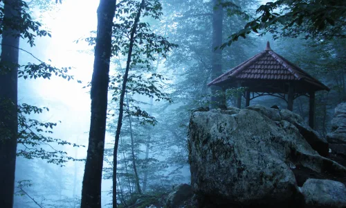 【24043】风景壁纸  2K 高清壁纸2560_1600@青蛙壁纸-笨猫小站