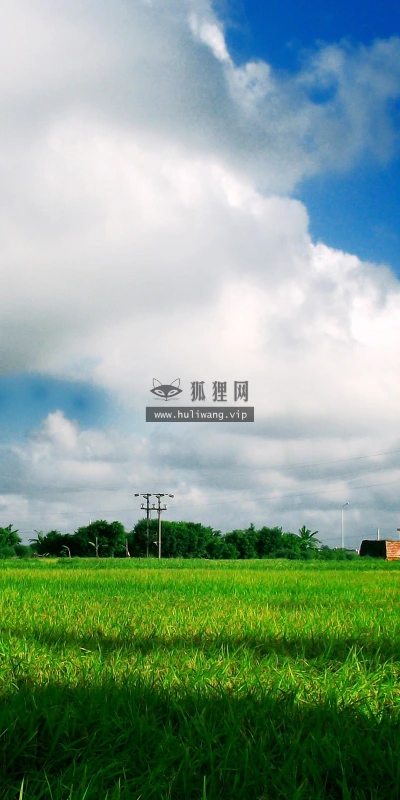 【24052】风景壁纸  2K 高清壁纸2560_1600@青蛙壁纸-笨猫小站