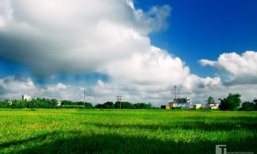 【24052】风景壁纸  2K 高清壁纸2560_1600@青蛙壁纸-笨猫小站