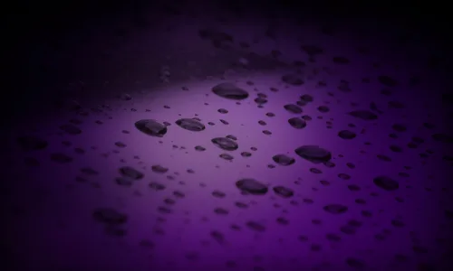 【24095】风景壁纸  2K 高清壁纸2560_1600@青蛙壁纸-笨猫小站
