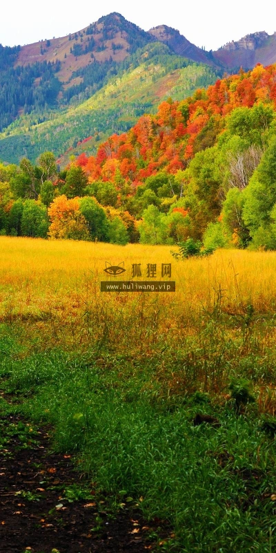 【24101】风景壁纸  2K 高清壁纸2560_1600@青蛙壁纸-笨猫小站