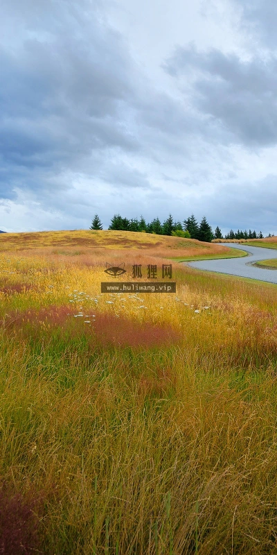 【24122】风景壁纸  2K 高清壁纸2560_1600@青蛙壁纸-笨猫小站