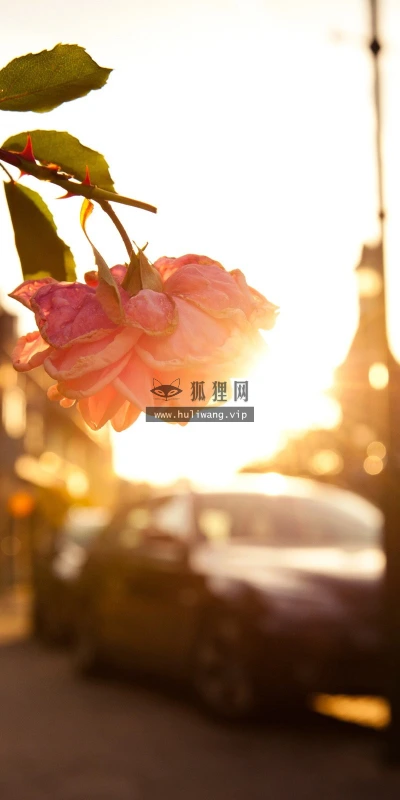 【24138】风景壁纸  2K 高清壁纸2560_1600@青蛙壁纸-笨猫小站
