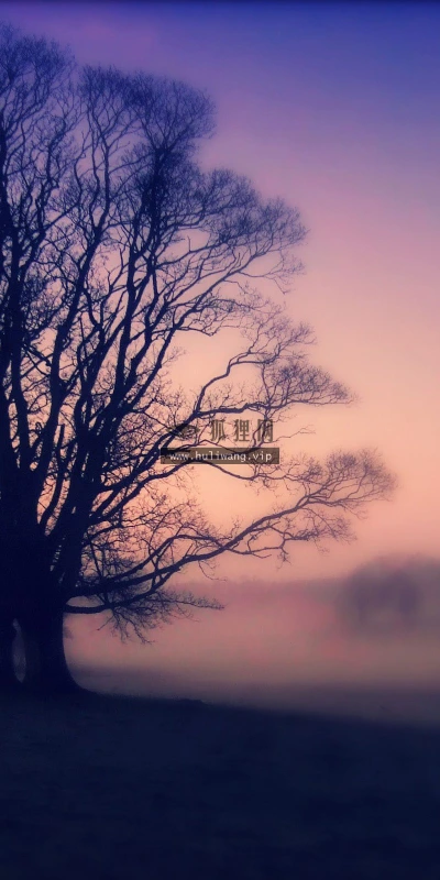 【24169】风景壁纸  2K 高清壁纸2560_1600@青蛙壁纸-笨猫小站