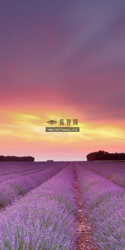 【24188】风景壁纸  2K 高清壁纸2560_1600@青蛙壁纸-笨猫小站