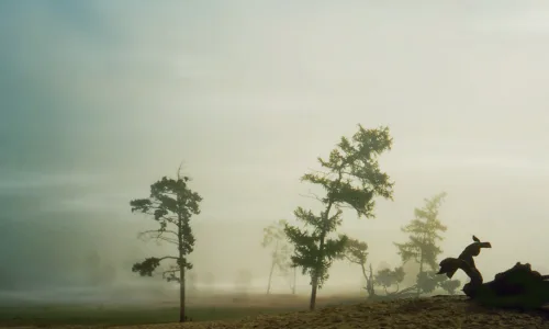 【24189】风景壁纸  2K 高清壁纸2560_1600@青蛙壁纸-笨猫小站