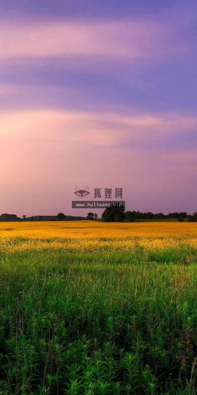 【24195】风景壁纸  2K 高清壁纸2560_1600@青蛙壁纸-笨猫小站