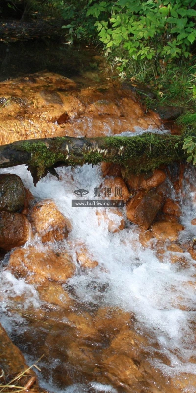 【24199】风景壁纸  2K 高清壁纸2560_1600@青蛙壁纸-笨猫小站