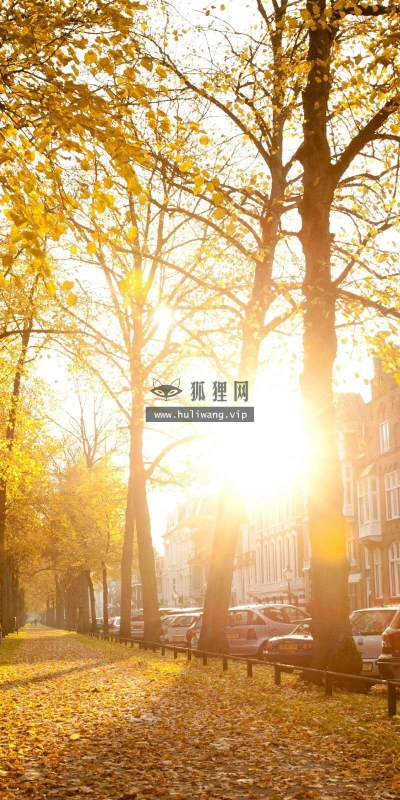 【24207】风景壁纸  2K 高清壁纸2560_1600@青蛙壁纸-笨猫小站
