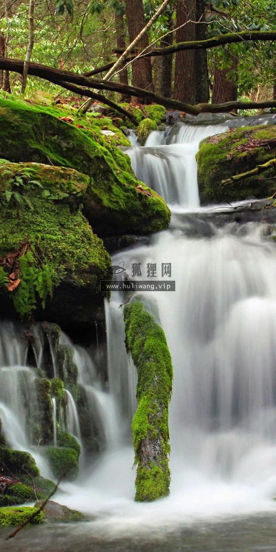 【24288】风景壁纸  2K 高清壁纸2560_1600@青蛙壁纸-笨猫小站