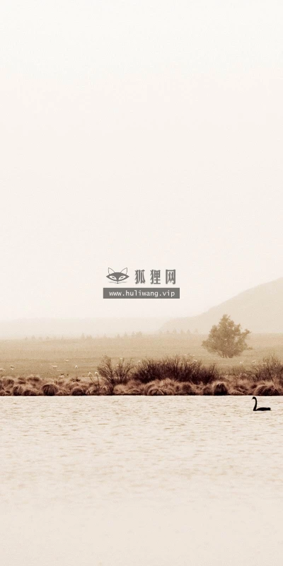 【24291】风景壁纸  2K 高清壁纸2560_1600@青蛙壁纸-笨猫小站