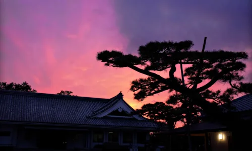 【24294】风景壁纸  2K 高清壁纸2560_1600@青蛙壁纸-笨猫小站